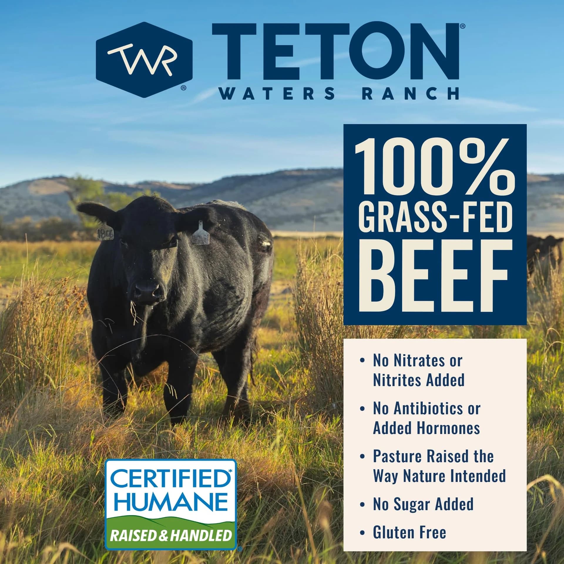 Teton Waters Ranch 100% Grass-Fed Beef Burgers, Frozen Burger Patties, No Sugar, No Antibiotics or Added Hormones, Gluten Free, Certified Humane - 4 Count (1 lb) — product image 6